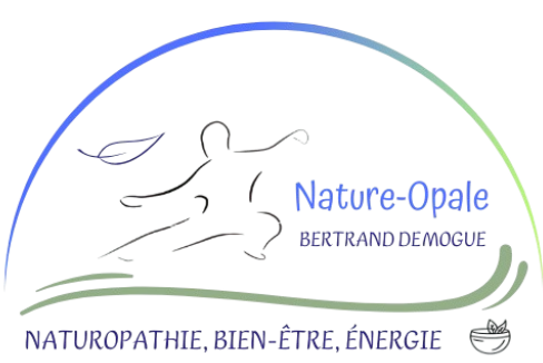 nature-opale.fr naturopathe à Calais, séjours et ateliers